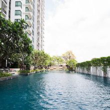 the-room-Sukhumvit-62-condo-bangkok-596f24fcb8a1bc0b540000ed_full