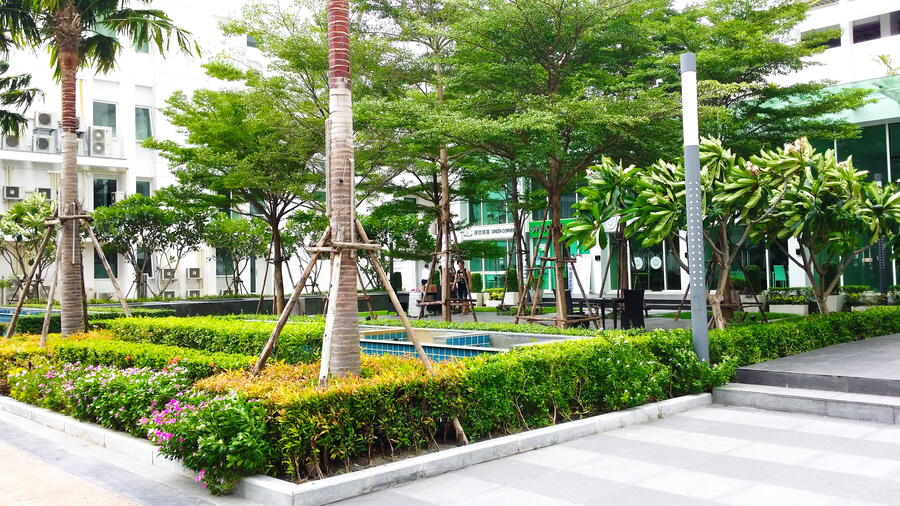TC Green Rama 9 · 1 bedroom · 37.97 SqM · Floor 14 · Chatuchak, Bangkok · Photo 2 TC Green Rama 9 1-bedroom Condo in Chatuchak, Bangkok – photo 2
