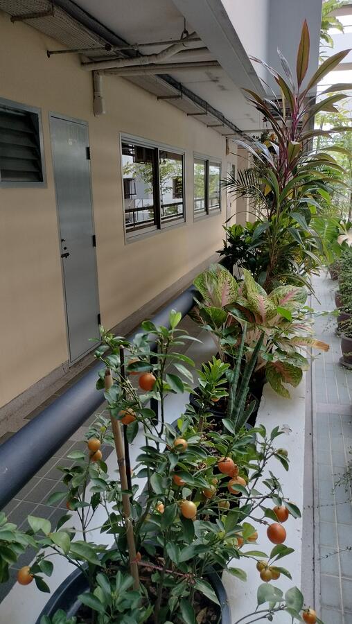 Garden Court · 2 bedroom · 82 SqM · Floor 2 · Suksawat, Bangkok · Photo 5 Garden Court 2-bedroom Condo in Suksawat, Bangkok – photo 5